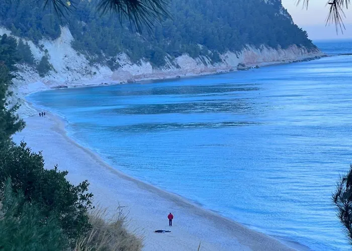 Il Fiore Del Conero 招待所 4*